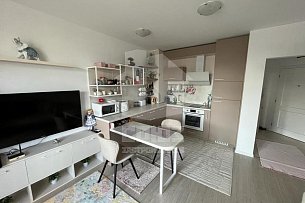 Двухкомнатный апартамент с мебелью и техникой фото 9